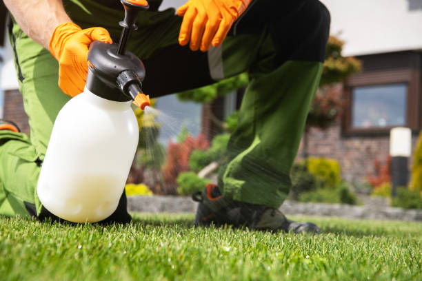 Professional Pest Control in Pine Bluff, AR