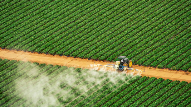 Best Pest Control Near Me  in Pine Bluff, AR