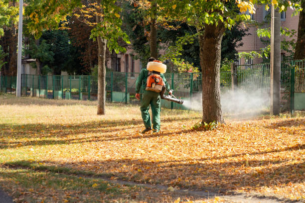 Best Termite Control Services  in Pine Bluff, AR