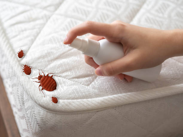 Best Local Pest Control Services  in Pine Bluff, AR